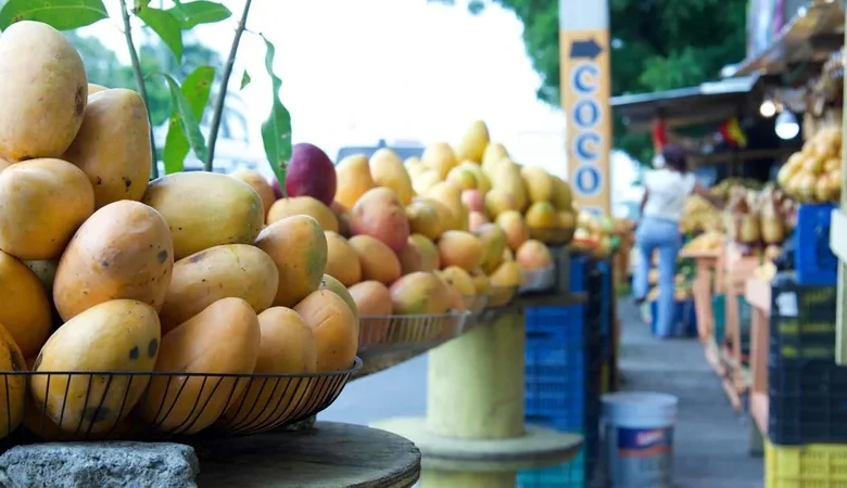 Mango dominicano: Agricultura completa en Peravia correctivos para reanudar exportaciones a EE. UU. en 2027