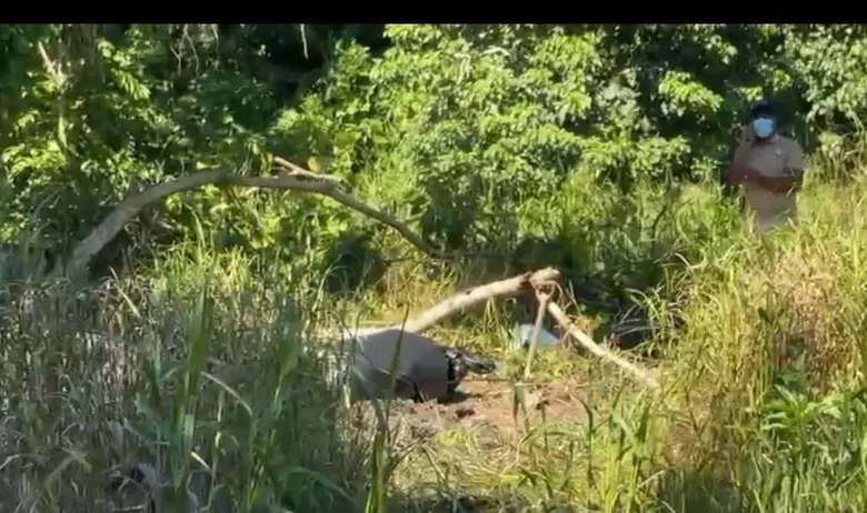 Hallan cuerpo enterrado en Nagua que sería de joven desaparecido; familiares exigen justicia