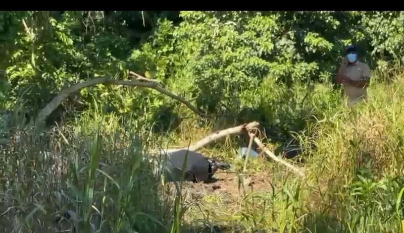 Hallan cuerpo enterrado en Nagua que sería de joven desaparecido; familiares exigen justicia