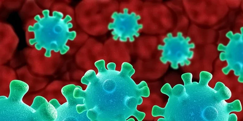 Francia reporta primera muerte humana por virus Shamonda: qué debe saber la población dominicana