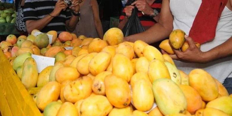 Productores de mango deben completar medidas fitosanitarias para reanudar exportaciones a EEUU en 2027