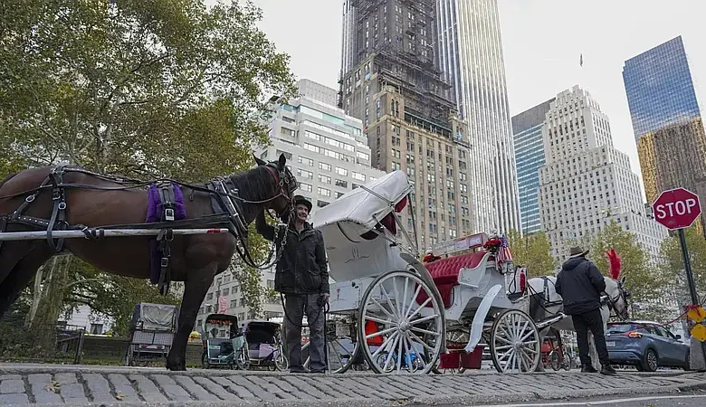 Nueva York eliminará los carruajes de caballos en 2028: lo que deben saber los dominicanos