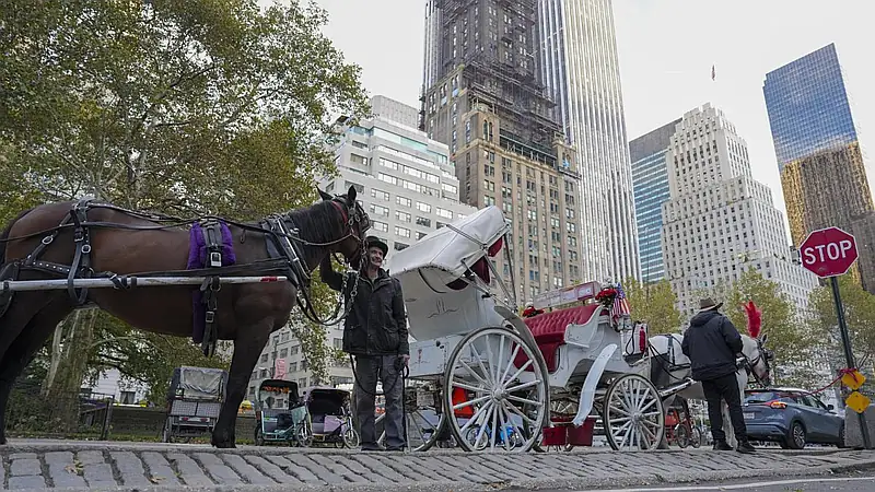 Nueva York eliminará los carruajes de caballos en 2028: lo que deben saber los dominicanos