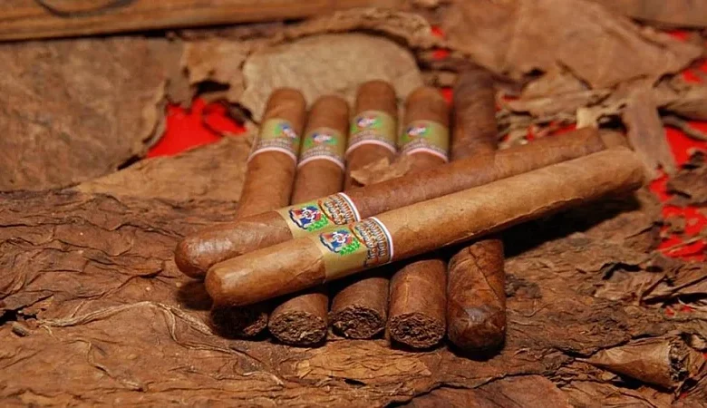 Entabaco proyecta 33,000 toneladas de tabaco para 2026-2027 y exportaciones superan los 802 millones de dólares