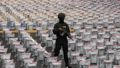OEA revela que 9 de cada 10 mulas de droga son primerizas; expertos piden atención a vulnerabilidad