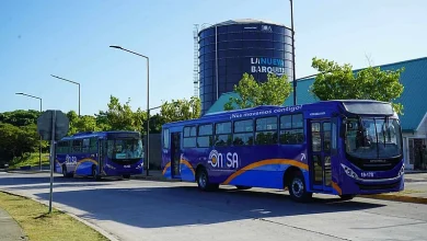 Contrataciones Públicas frena licitación de autobuses de la OMSA y abre investigación
