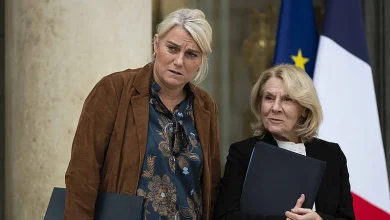 Autoridades francesas confirman primer caso humano del virus shamonda, transmitido por mosquito