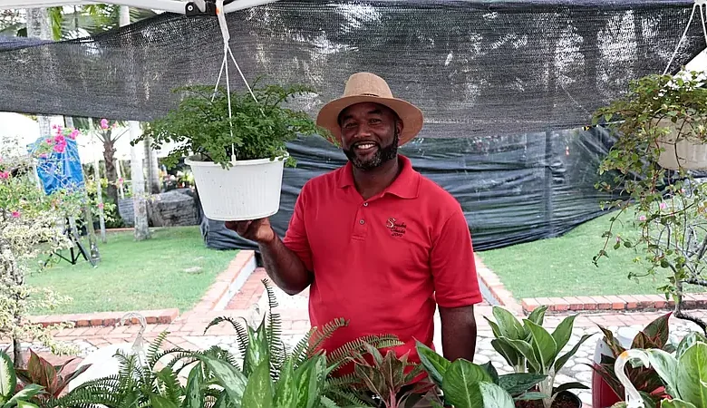 Emprender con plantas ornamentales: una opción desde RD$50,000, según vivero Flor del Desierto