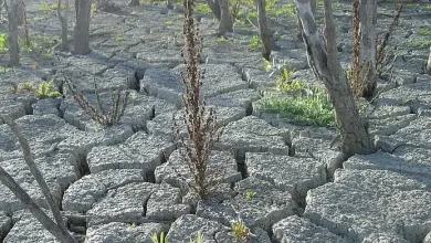 PLUMA: el límite de 1,5 °C se agotó y el mundo entra en fase de 'rebasamiento' climático