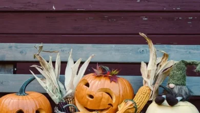 La calabaza: mucho más que una linterna de Halloween