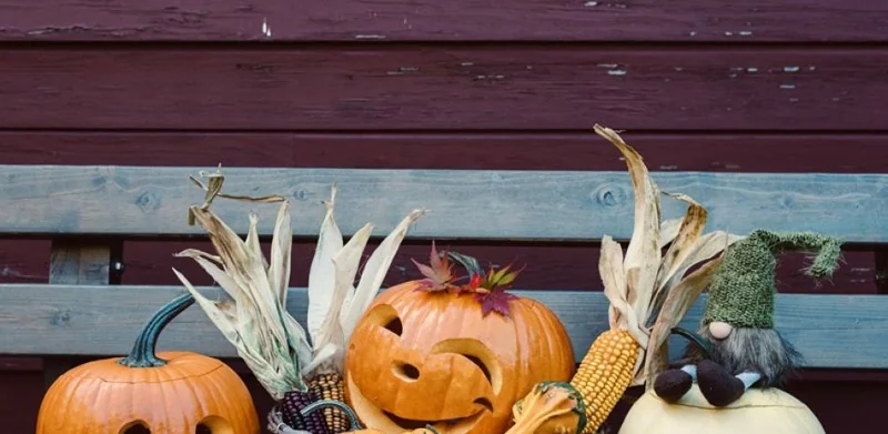 La calabaza: mucho más que una linterna de Halloween
