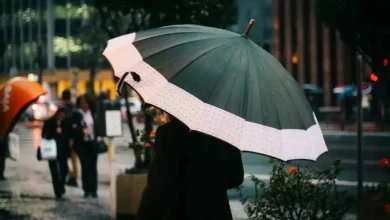 Indomet advierte lluvias y ráfagas de viento este domingo: tome precauciones