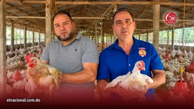 Productores avícolas de Moca advierten quiebra por sobreproducción e importaciones