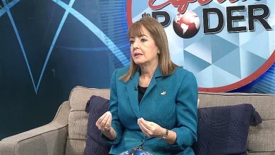 Fundación Vida Sin Violencia alerta sobre 74 feminicidios y pide acciones urgentes a las autoridades