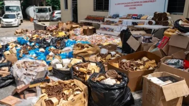 Golpe al comercio ilícito: decomisan puros y damajuana valorados en más de RD$40 millones