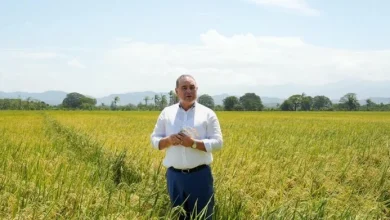 Agricultura aclara alcance del Decreto 554-22 en medio de debate por arroz