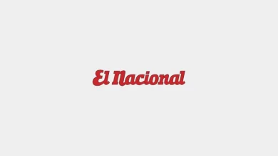 Los riesgos internos del PRM: un análisis sobre su ADN político