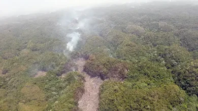 Prisión preventiva por tumba y quema en Los Haitises: lo que debe saber sobre la protección de áreas protegidas