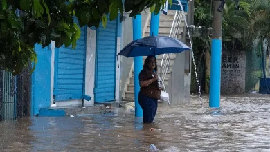 COE mantiene alerta verde en La Vega, Monseñor Nouel y Santiago; Barahona reporta caída de árbol en Cañada de Papoy