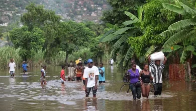 Lluvias en Haití dejan ocho muertos y más de 11.800 familias damnificadas: lo que debe saber