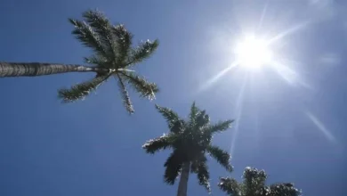 Indomet alerta: lluvias se intensifican el domingo; revise su plan si sale al aire libre